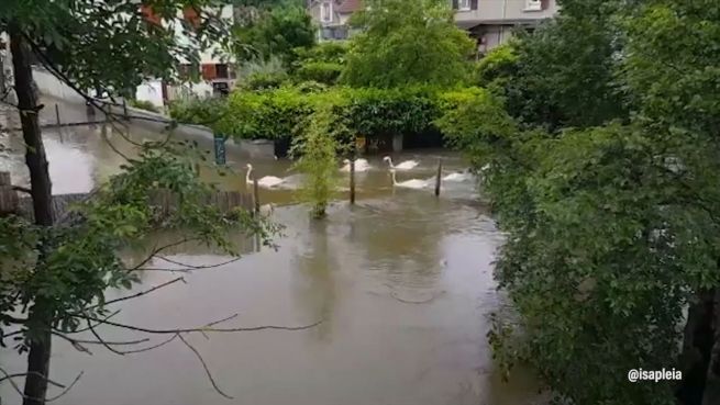 go to Paris in Not: Die Seine tritt über die Ufer